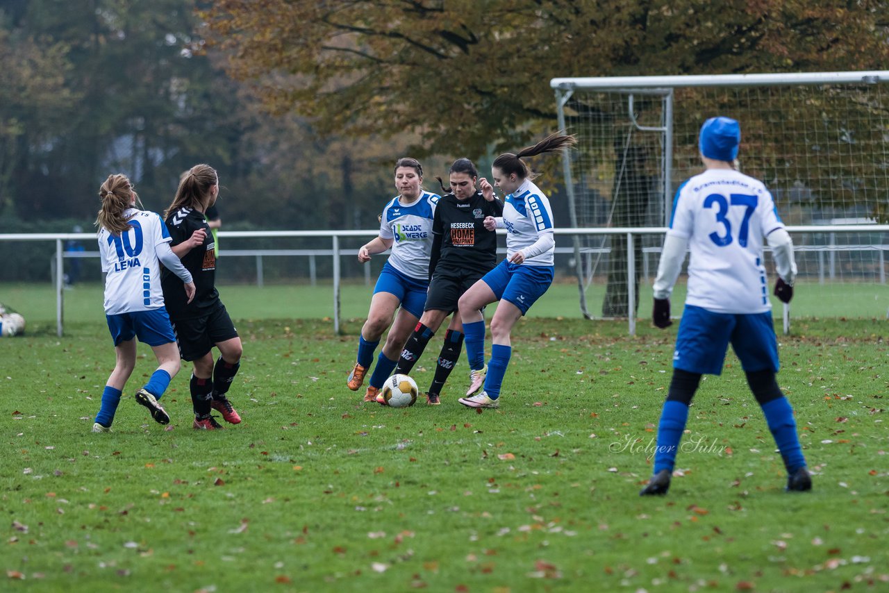 Bild 274 - Frauen SV Henstedt Ulzburg III - Bramstedter TS : Ergebnis: 1:0